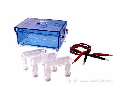 DYCP-43蛋白質回收電泳儀(槽)