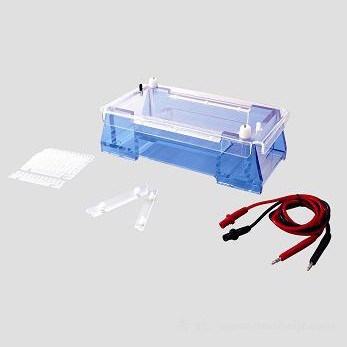 DYCP-32A瓊脂糖水平電泳儀(槽)