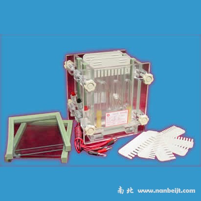 DYCZ-28C雙板夾芯式垂直電泳儀(槽)