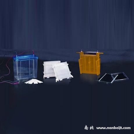 DYCZ-24F雙垂直電泳儀(槽)