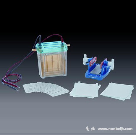 DYCZ-24EN雙垂直電泳儀(槽)