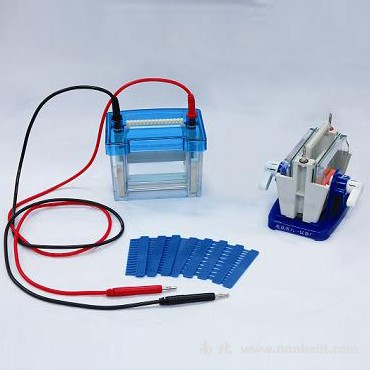 DYCZ-24DN迷你雙垂直電泳儀(槽)