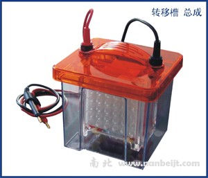 BG-blotMINI迷你垂直轉(zhuǎn)印儀