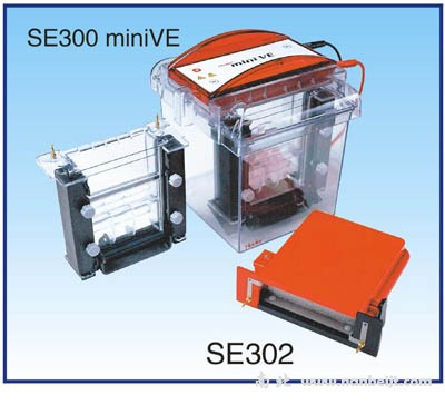 迷你垂直電泳儀