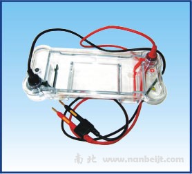 BG-subMINI迷你水平電泳儀