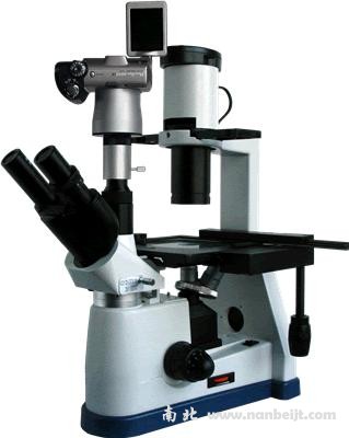 BM-37XBS數碼倒置生物顯微鏡