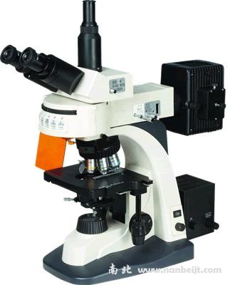 BM-21AY落射熒光顯微鏡
