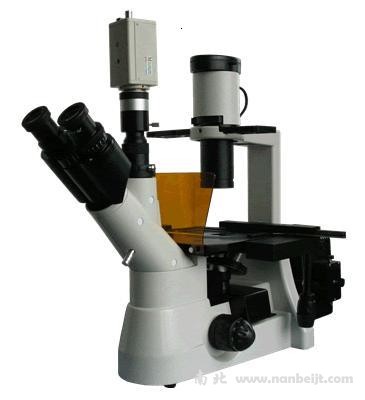 BM-38XAC電腦型倒置熒光顯微鏡