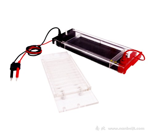 JY-SP3水平電泳槽