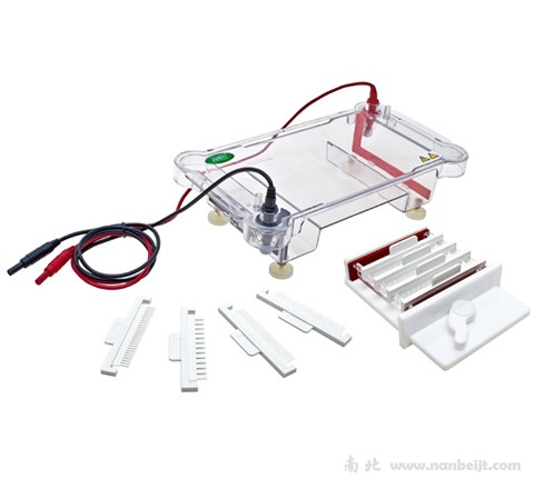 JY-SPFT水平電泳槽