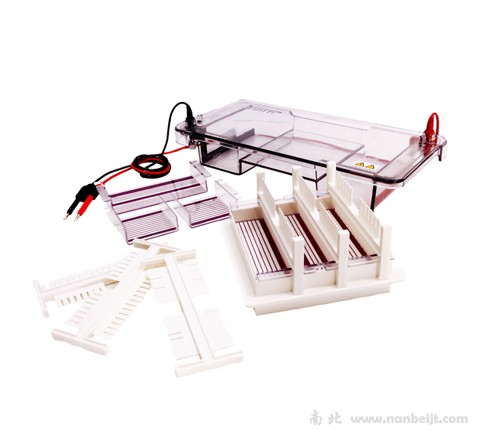 JY-SPDT水平電泳槽