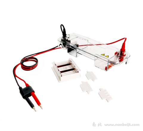 JY-SPAT水平電泳槽