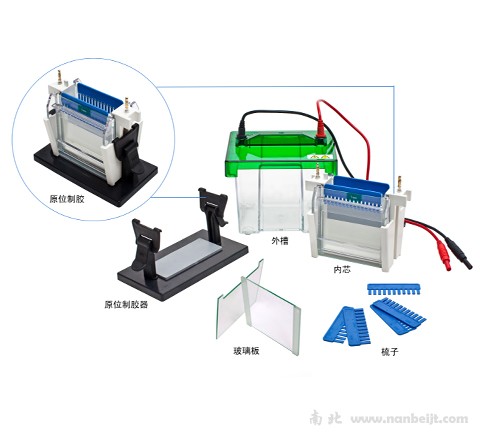 JY-SCZ2+垂直電泳槽