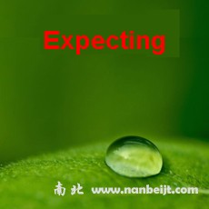 Bioprep-3生物樣品均質器