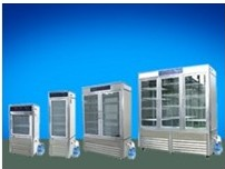 RXZ-600A人工氣候箱