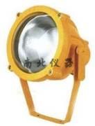 防爆投光燈