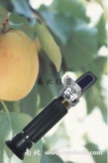 WZ104水果糠度計