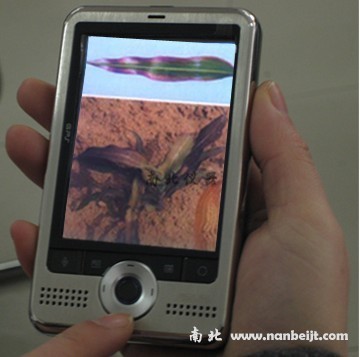 ZWY-1測土配方查詢系統