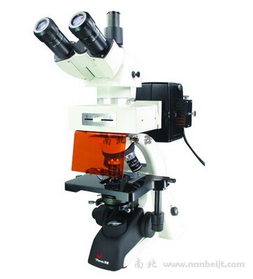 PH100-YG1熒光顯微鏡