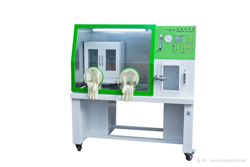 YQX-Ⅱ厭氧培養箱