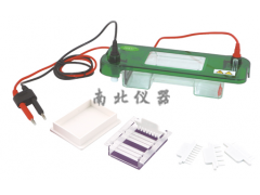 JY-SPAT水平電泳槽