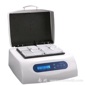 微孔板恒溫振蕩器--MB100-4P