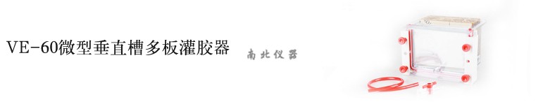 VE-60電泳槽