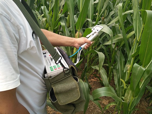 SY-1023植物蒸騰速率測定儀