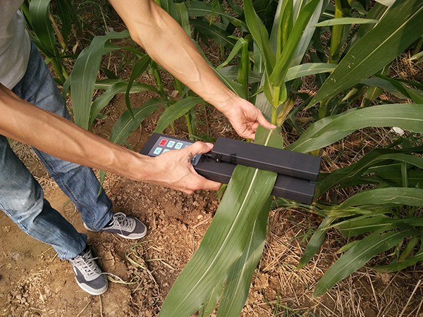 LAM活體葉面積測定儀