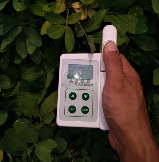SY-S06葉片溫度測量儀