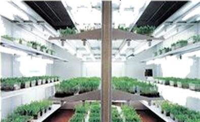 ZRS-1JSW智能人工氣候室