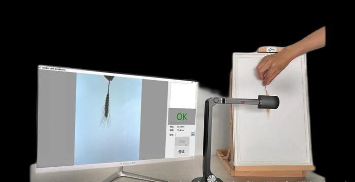 DMS-X-PC稻穗麥穗形態測量儀